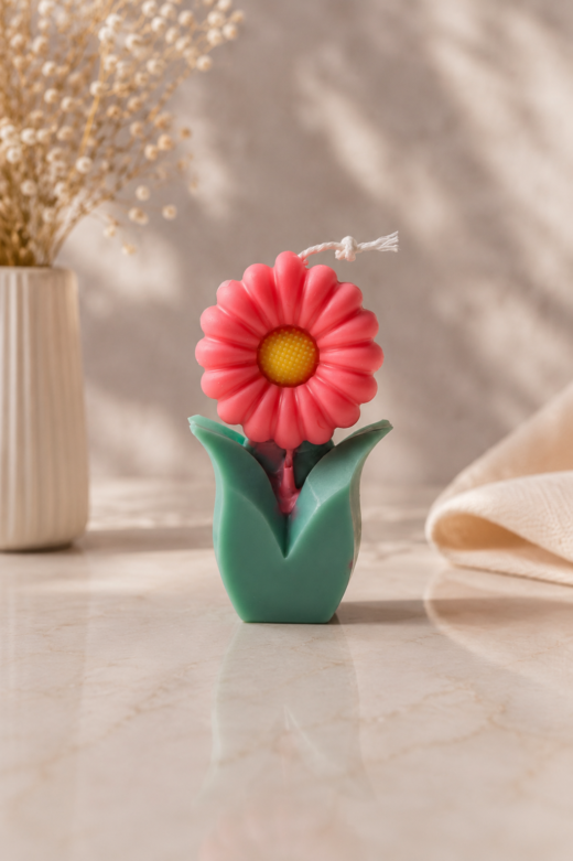 Blooming Daisy